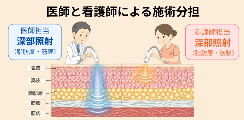 皮膚の構造（表皮、真皮、脂肪層、筋膜）と深部照射のイメージ