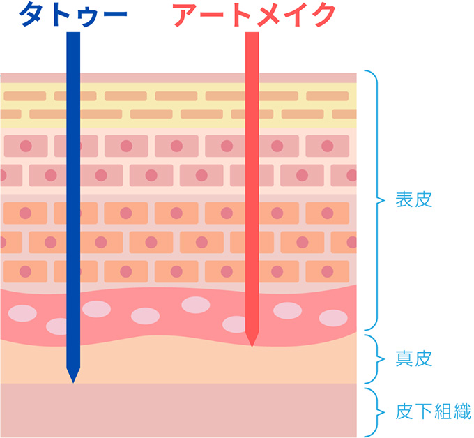 アートメイクとタトゥー（刺青）の違い